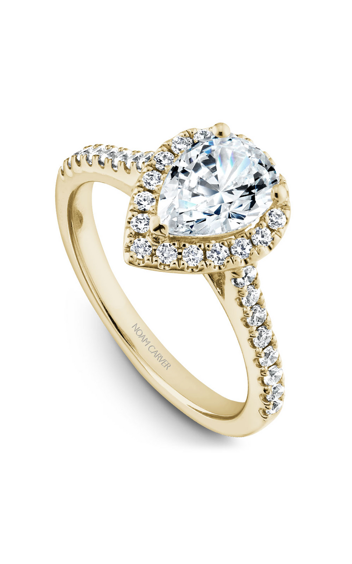 Noam Carver Halo Engagement Ring B169-01YA