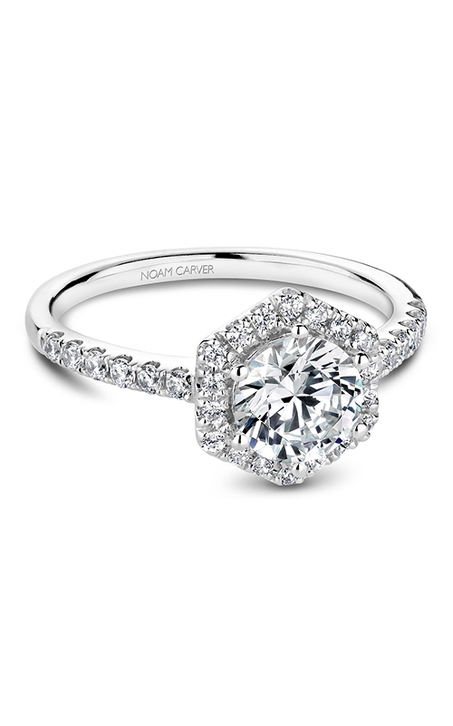 Noam Carver Halo Engagement Ring B214-01A