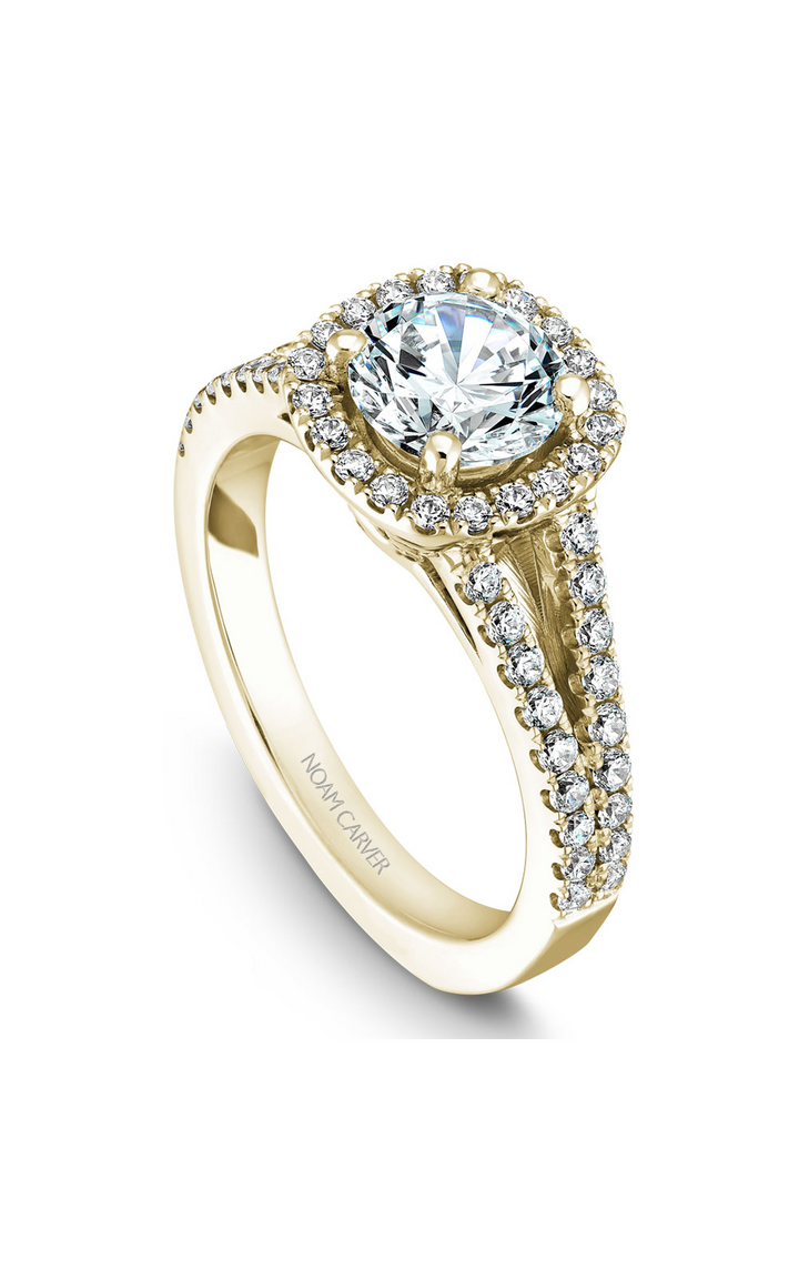 Noam Carver Halo Engagement Ring B015-01YA