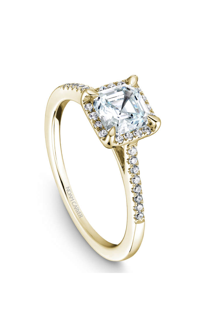 Noam Carver Halo Engagement Ring B094-01YA