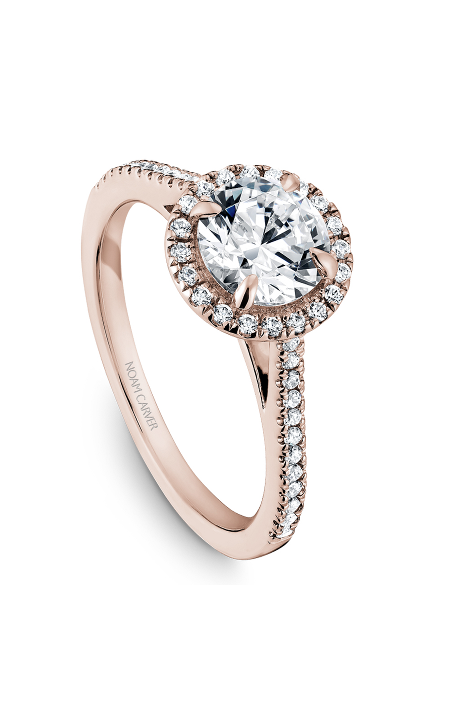 Noam Carver Halo Engagement Ring B094-02RA