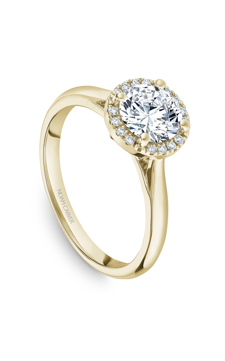 Noam Carver Halo Engagement Ring B260-01YA