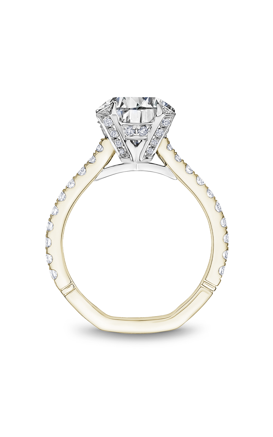 Noam Carver Atelier Engagement Ring A008-01YWA