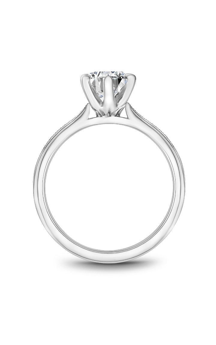 Noam Carver Bridal Engagement Ring B247-04A