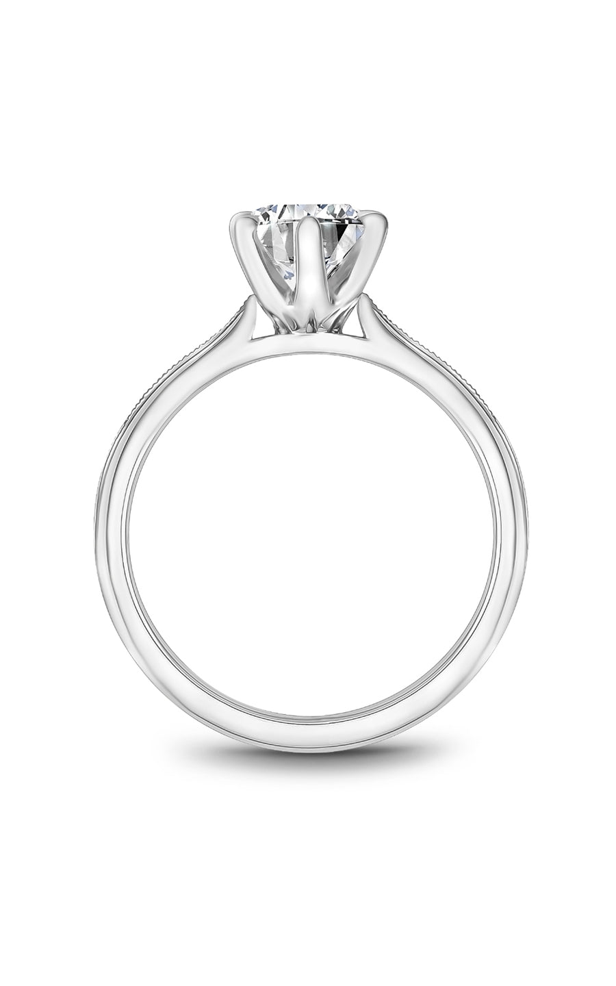 Noam Carver Bridal Engagement Ring B247-04A