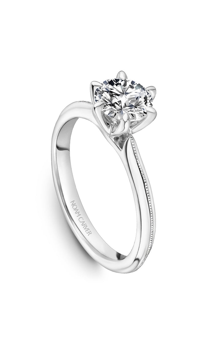 Noam Carver Bridal Engagement Ring B247-04A