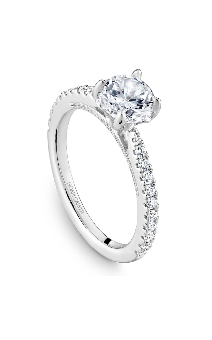 Noam Carver Bridal Engagement Ring B293-01A