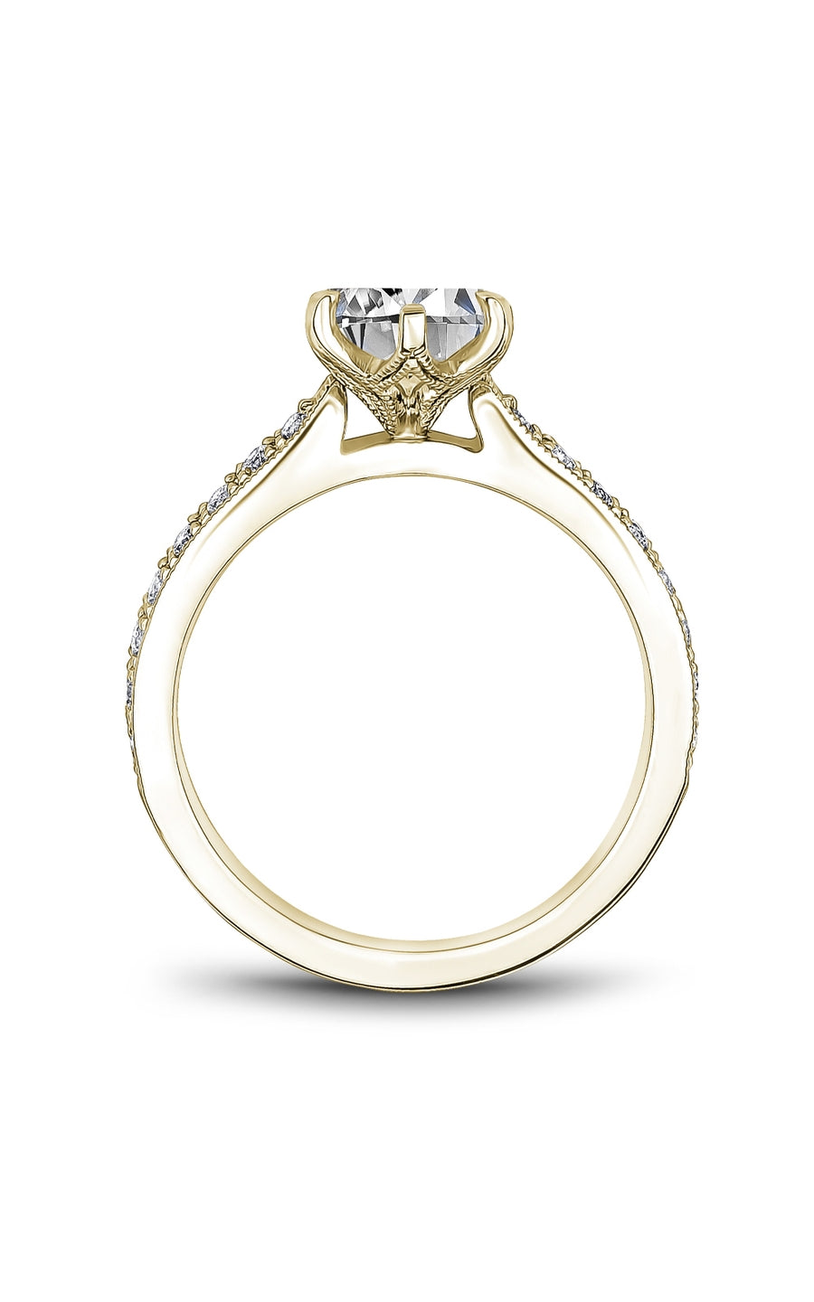 Noam Carver Bridal Engagement Ring B341-01YA