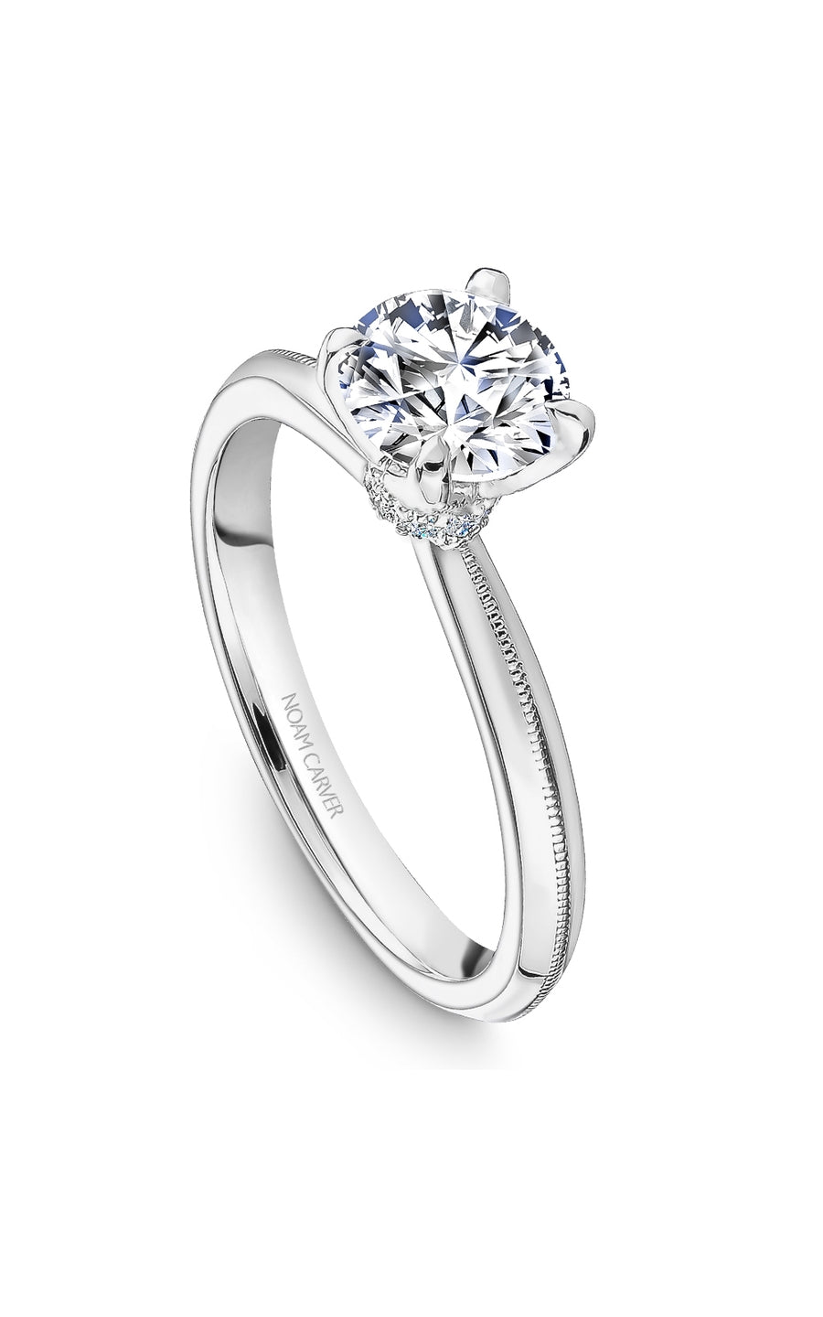 Noam Carver Bridal Engagement Ring B342-01A