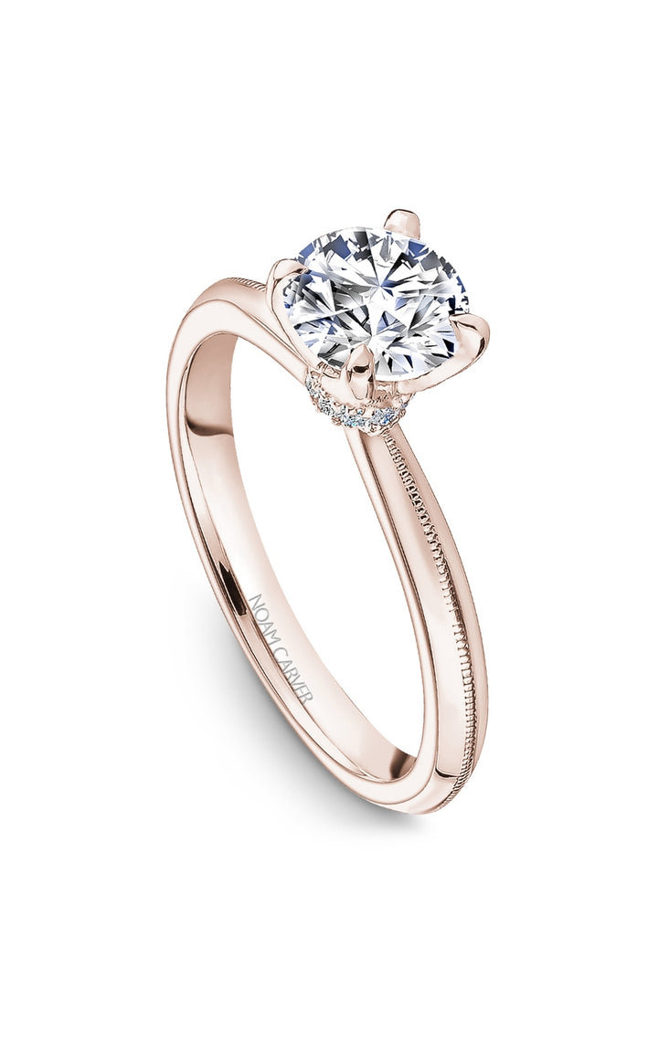 Noam Carver Bridal Engagement Ring B342-01RA