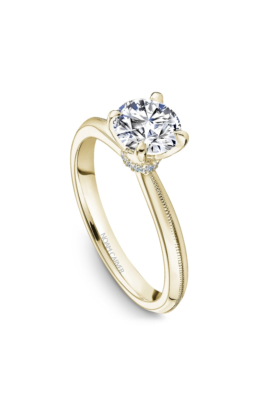 Noam Carver Bridal Engagement Ring B342-01YA