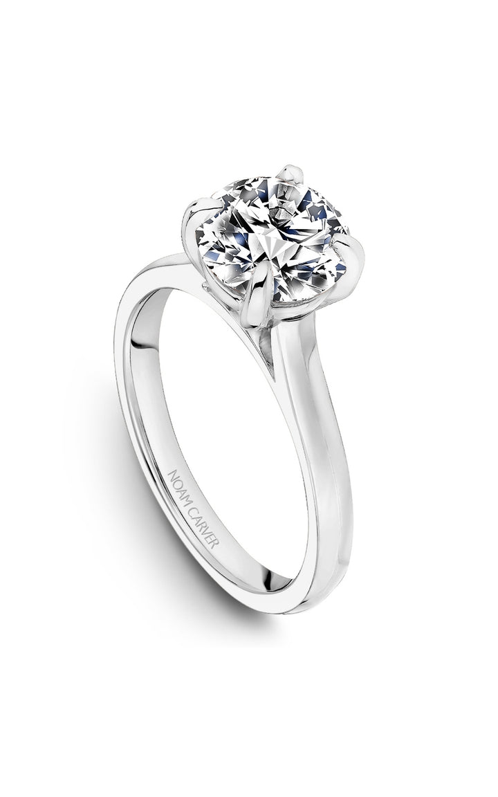 Noam Carver Bridal Engagement Ring B353-01A