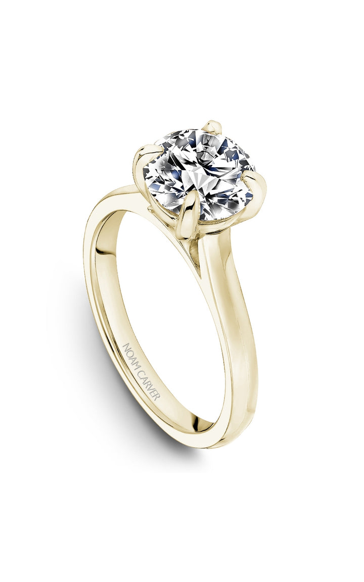 Noam Carver Bridal Engagement Ring B353-01YA