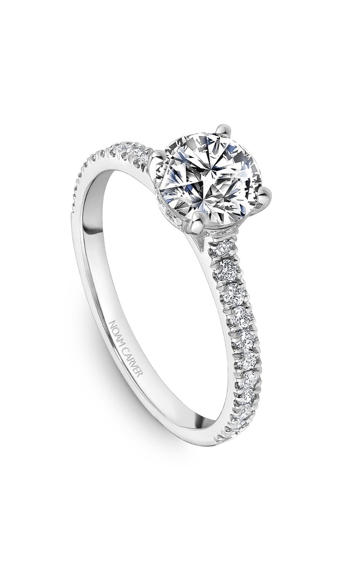 Noam Carver Bridal Engagement Ring B502-01A