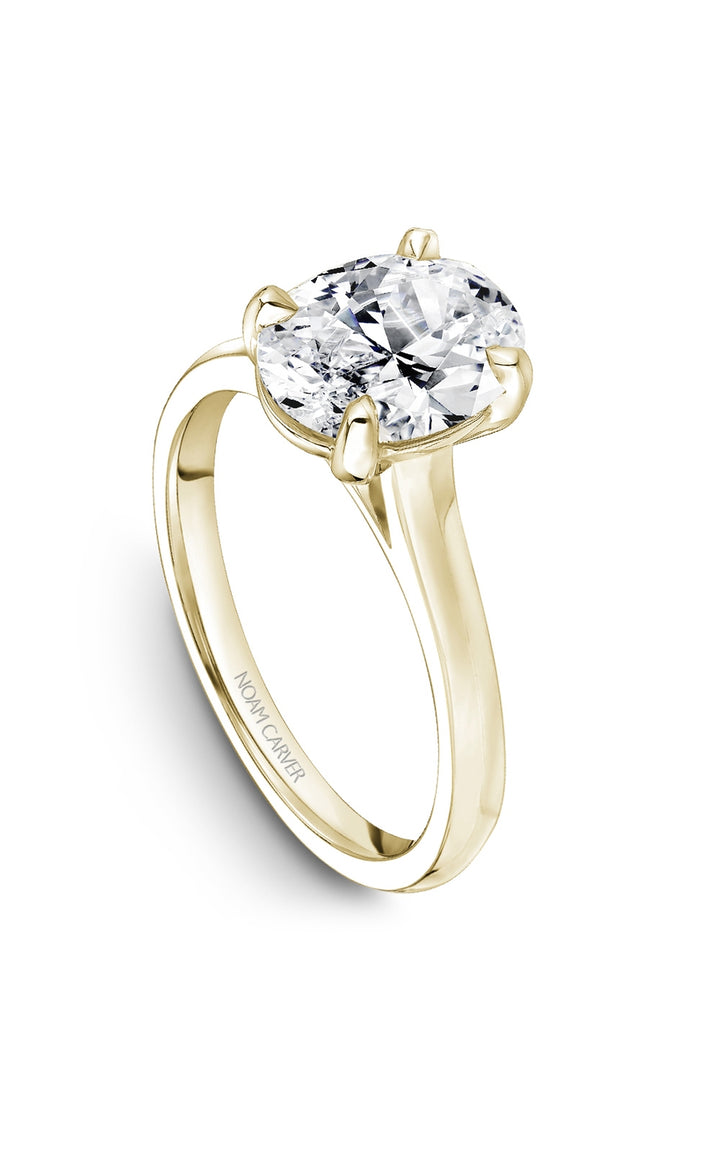 Noam Carver Bridal Engagement Ring B353-03YA