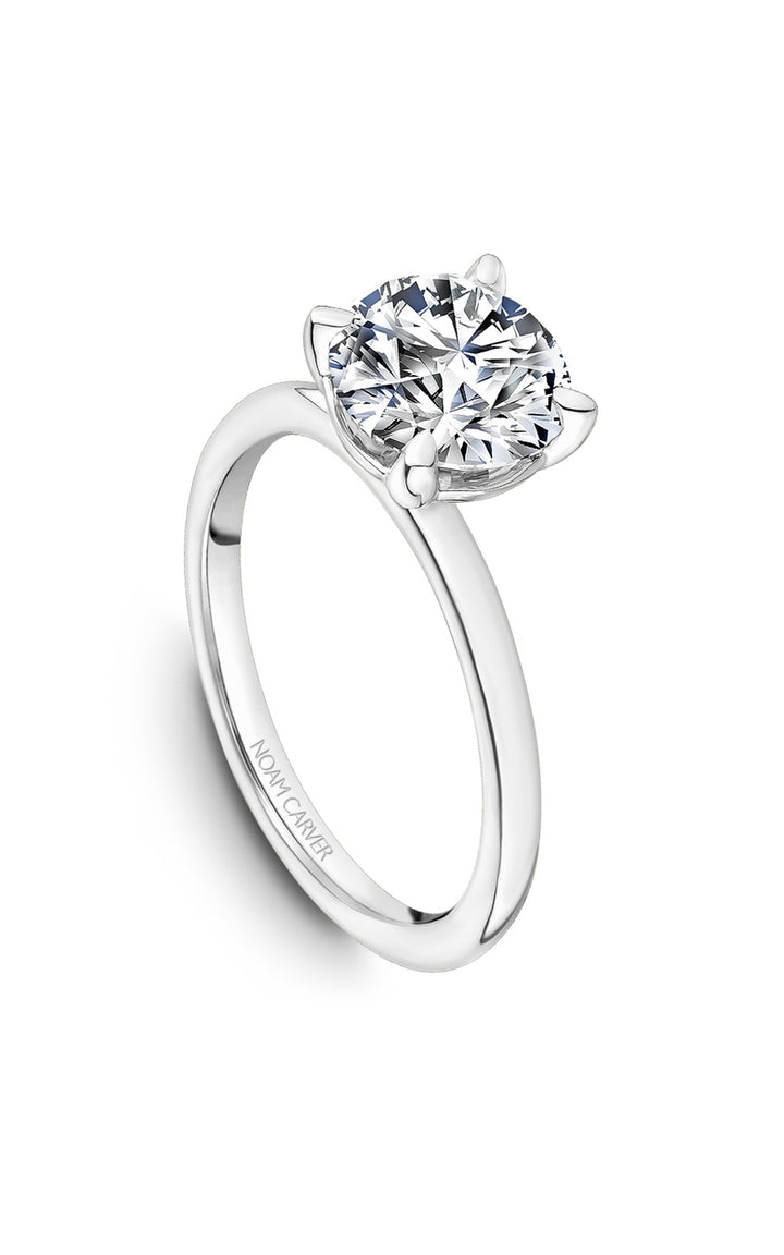 Noam Carver Bridal Engagement Ring B371-01A