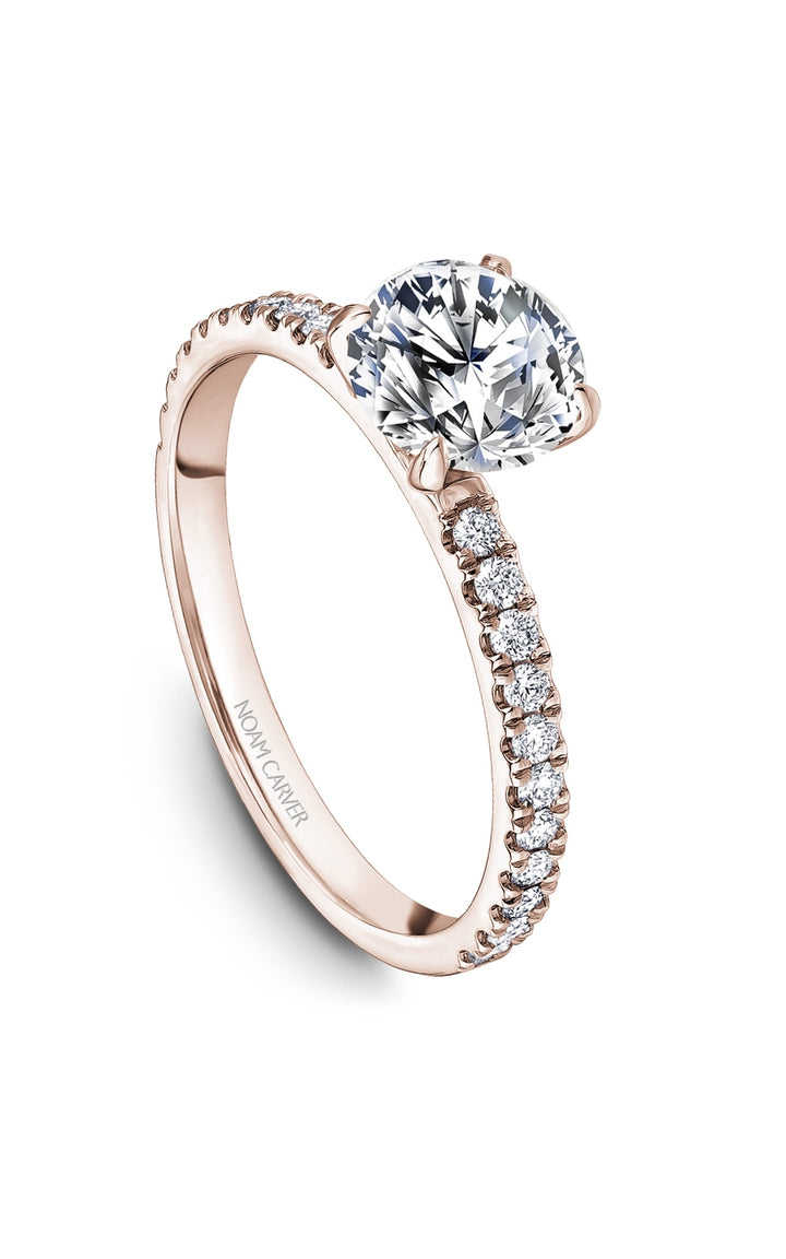 Noam Carver Bridal Engagement Ring B501-01RA