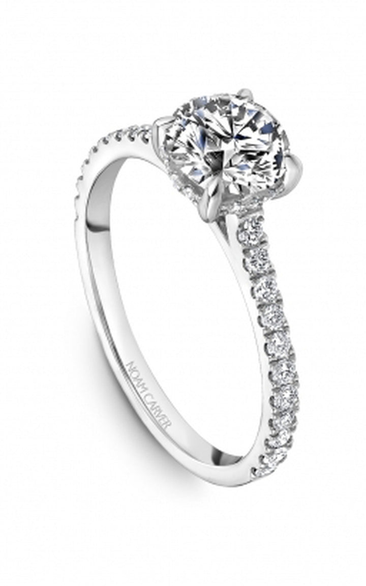 Noam Carver Bridal Engagement Ring B505-01A