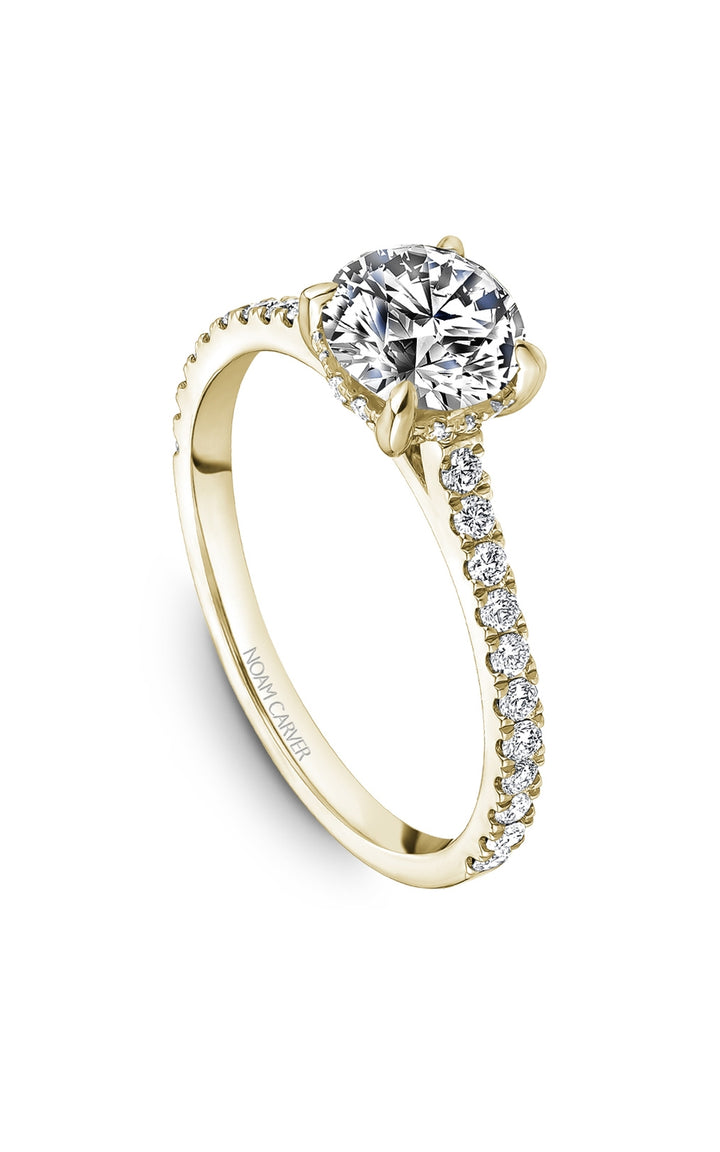 Noam Carver Bridal Engagement Ring B505-01YA