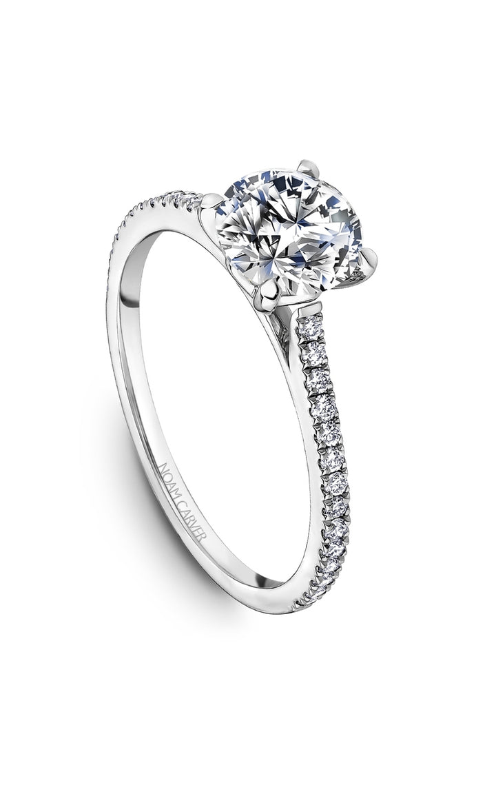 Noam Carver Bridal Engagement Ring B507-01A