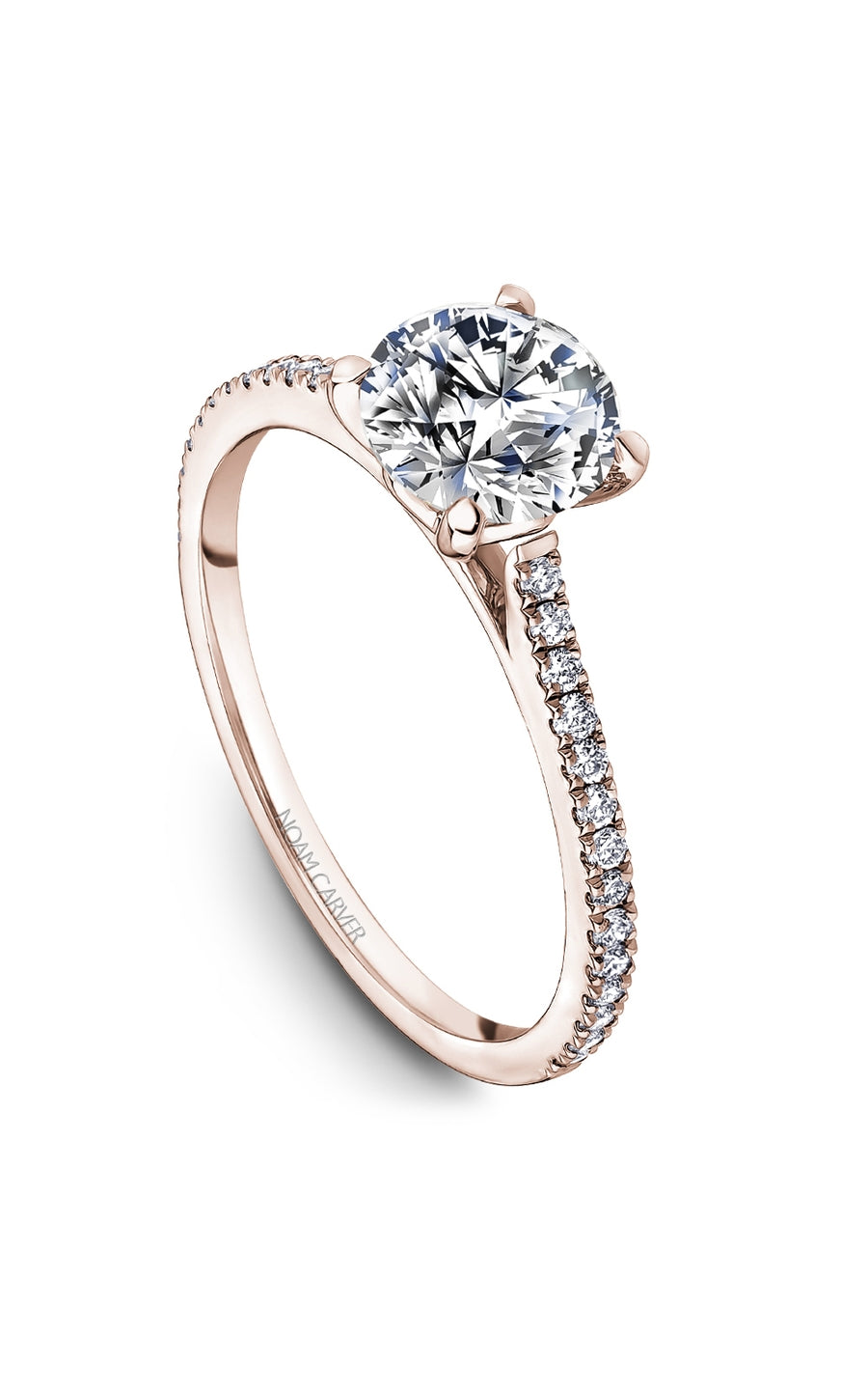 Noam Carver Bridal Engagement Ring B507-01RA