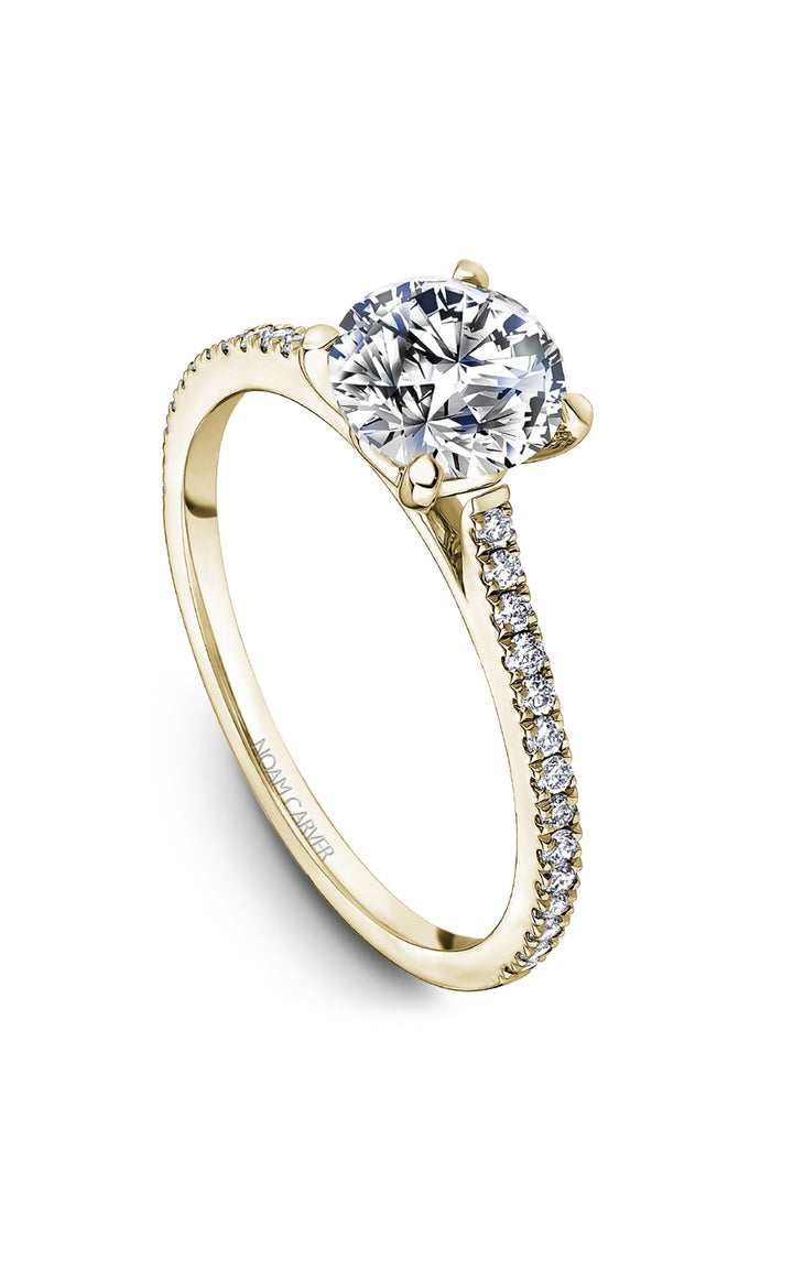 Noam Carver Bridal Engagement Ring B507-01YA