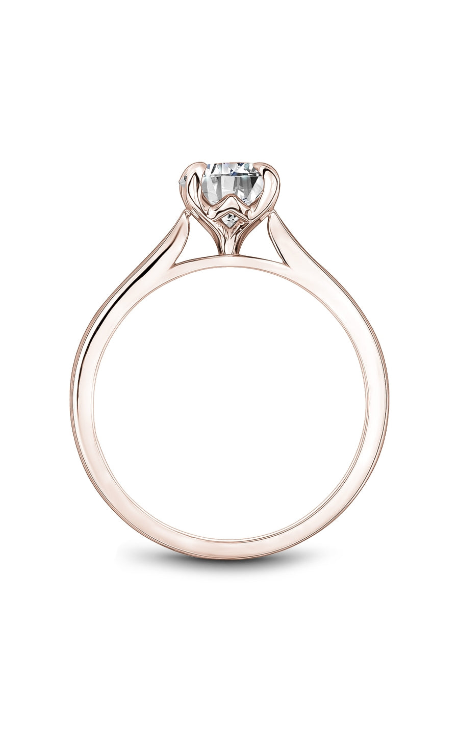 Noam Carver Bridal Engagement Ring B507-02RA