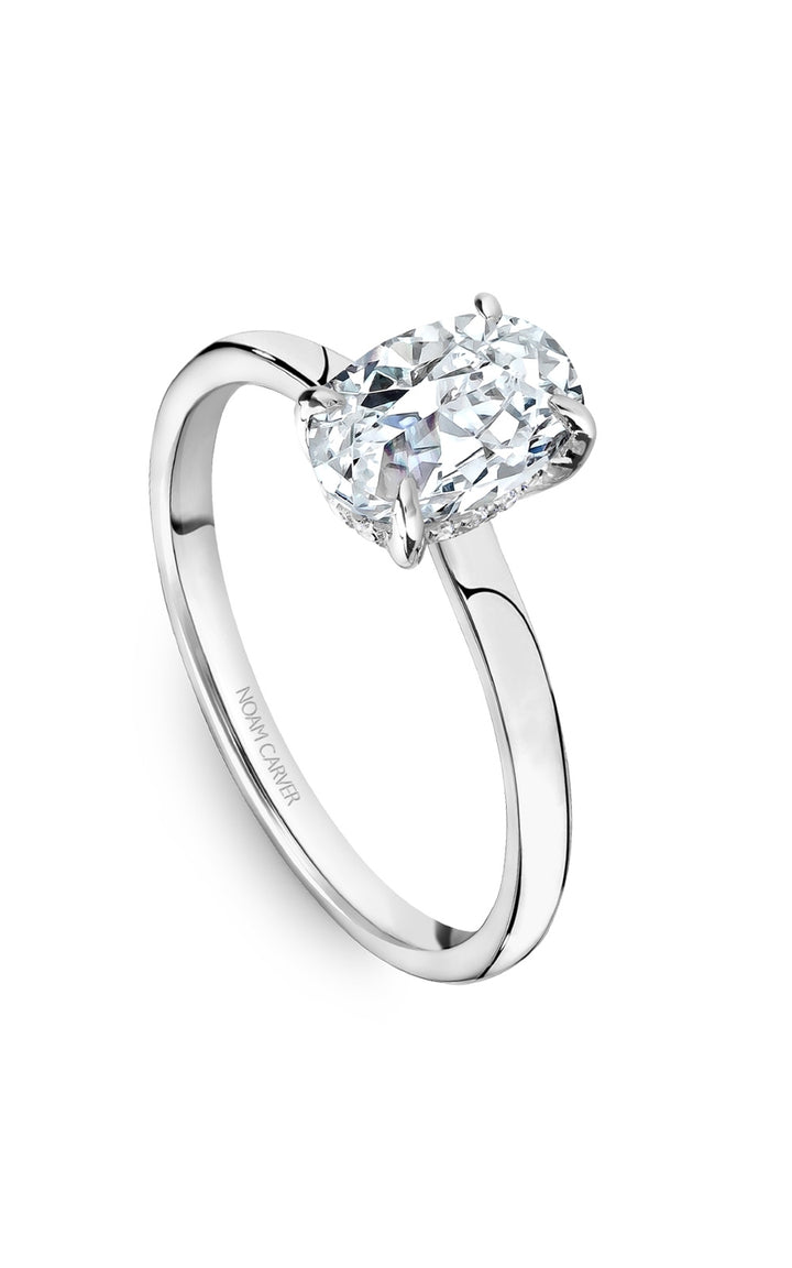 Noam Carver Bridal Engagement Ring B511-01A