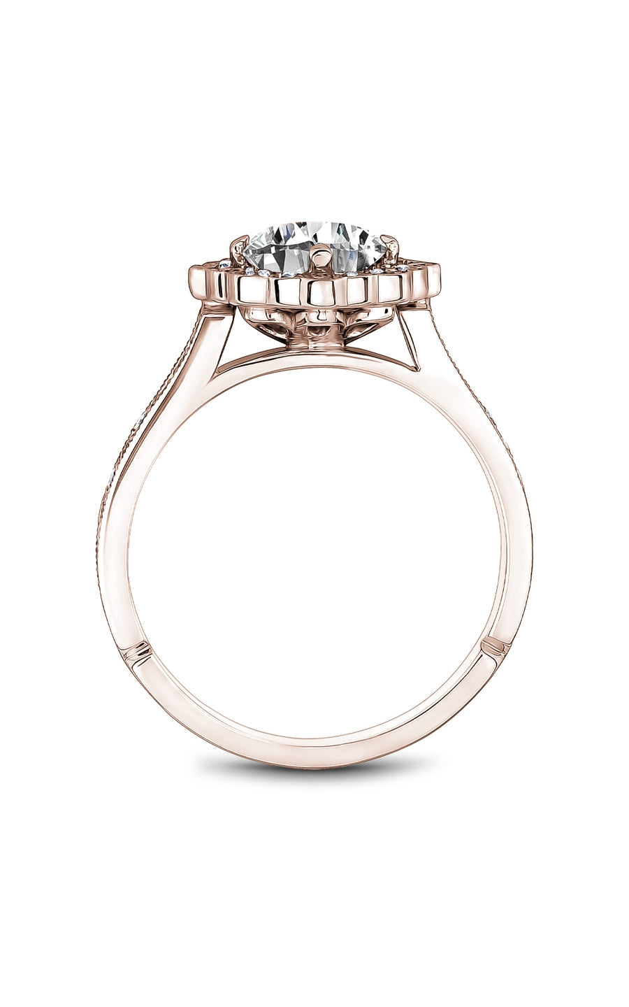 Noam Carver Bridal Engagement Ring B516-01RA