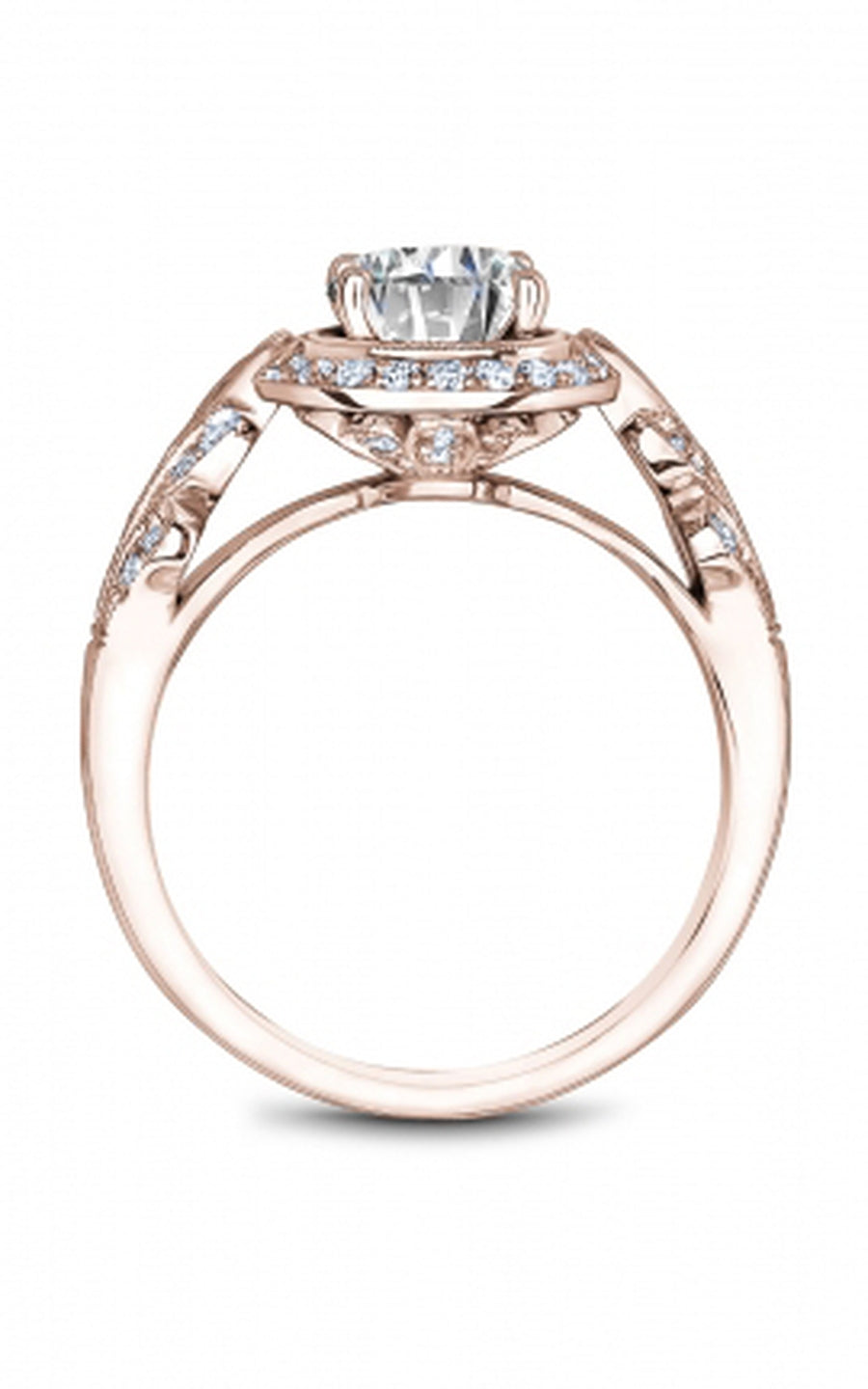 Noam Carver Bridal Engagement Ring B517-01RA