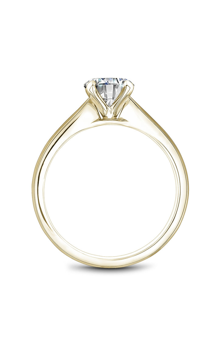 Noam Carver Bridal Engagement Ring B518-01YA