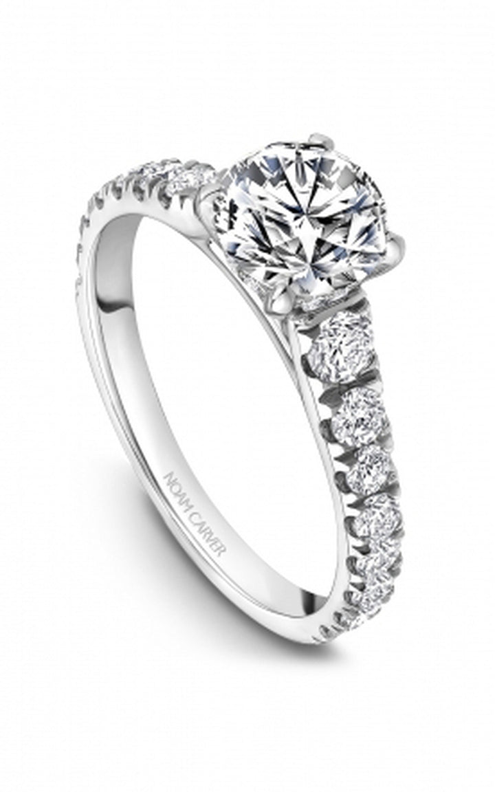 Noam Carver Bridal Engagement Ring B519-01A