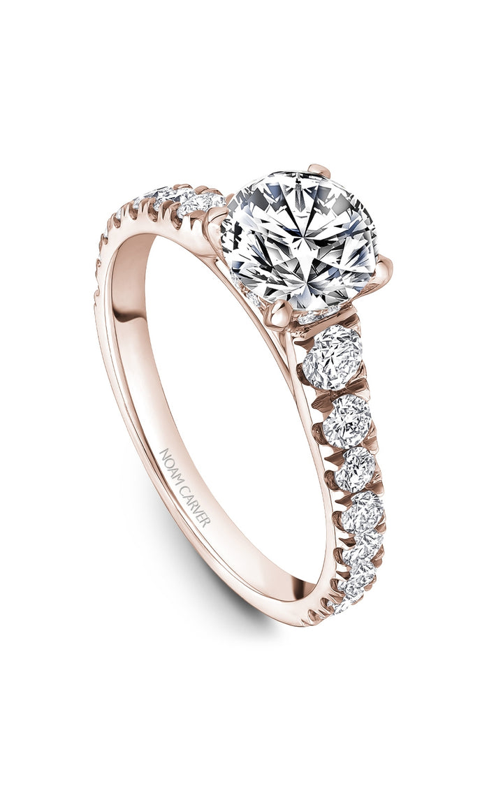 Noam Carver Bridal Engagement Ring B519-01RA