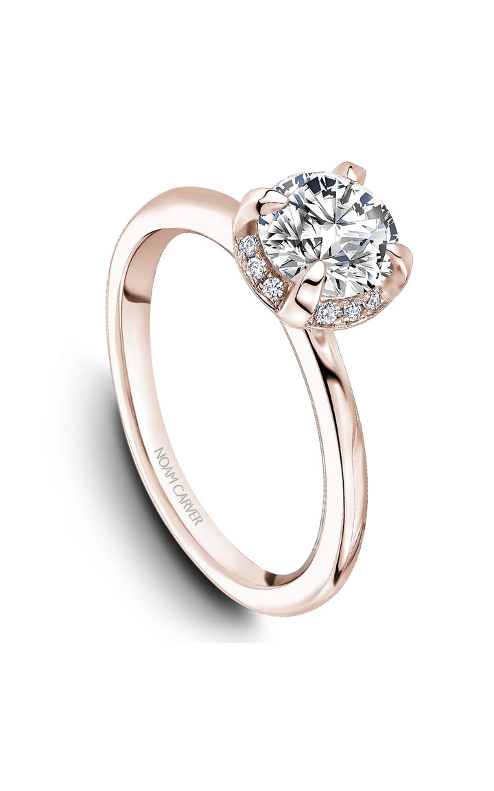 Noam Carver Bridal Engagement Ring B520-01RA