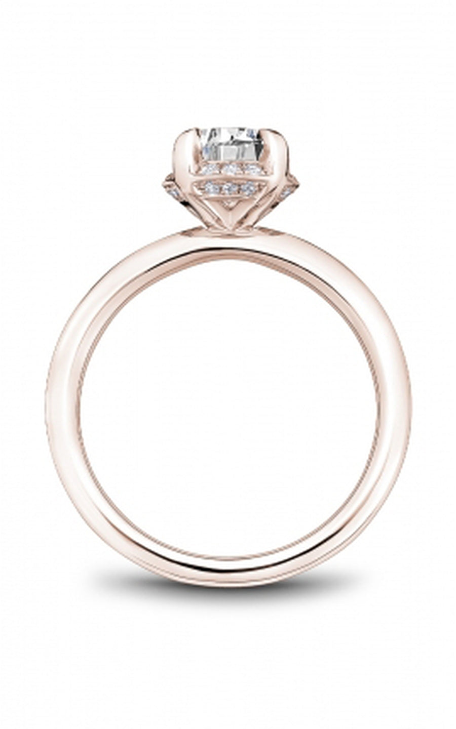 Noam Carver Bridal Engagement Ring B520-01RA