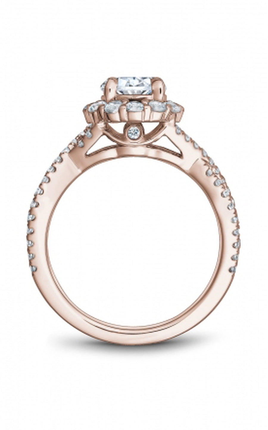 Noam Carver Bridal Engagement Ring R055-01RA