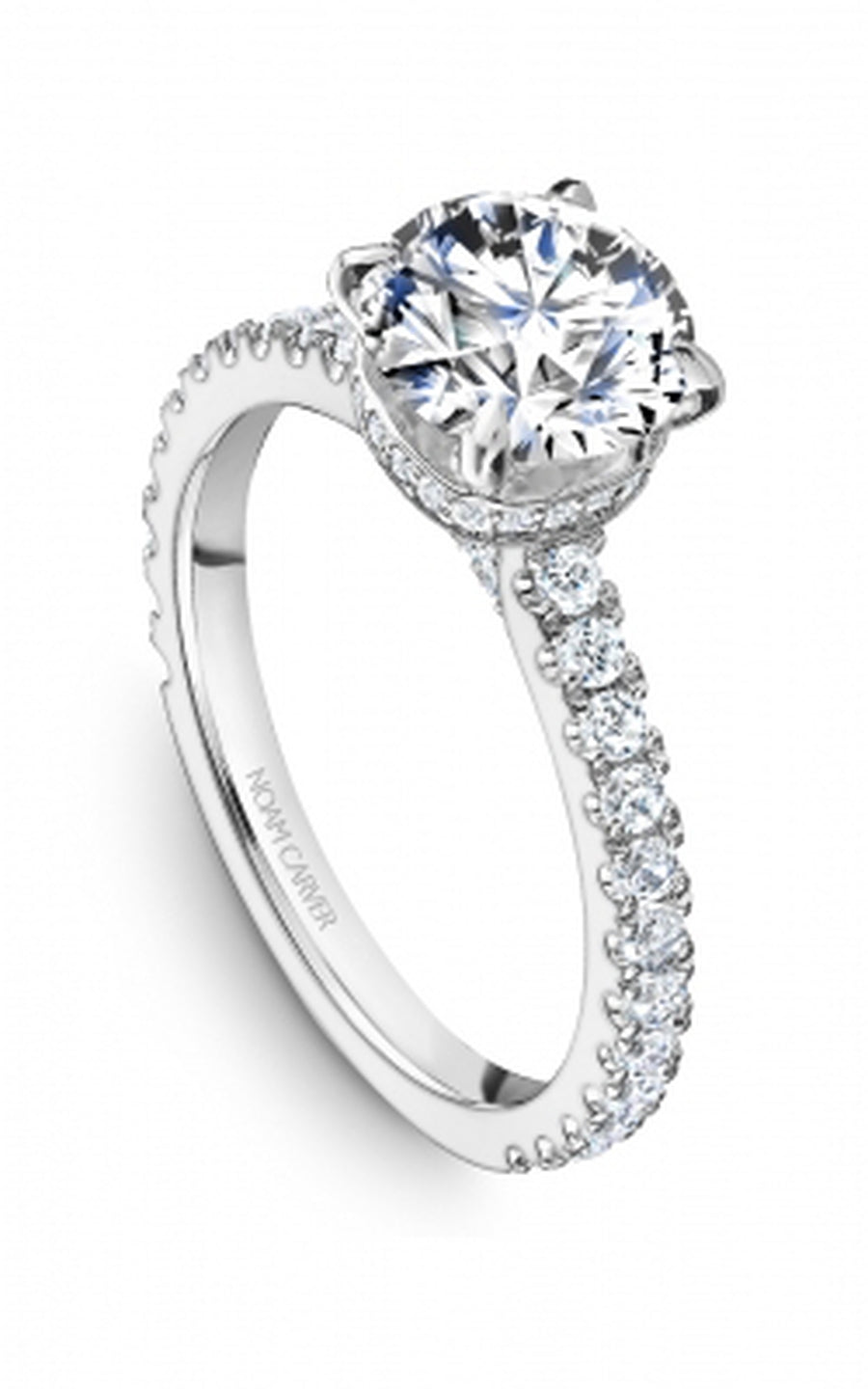 Noam Carver Bridal Engagement Ring R059-01A