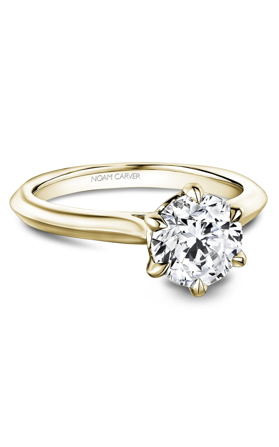 Noam Carver Bridal Engagement Ring R065-01YA