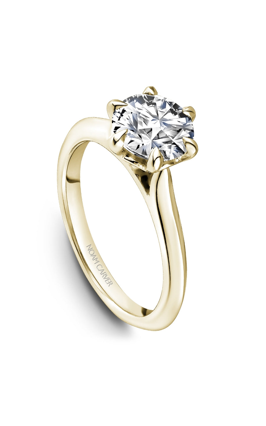 Noam Carver Bridal Engagement Ring R065-01YA