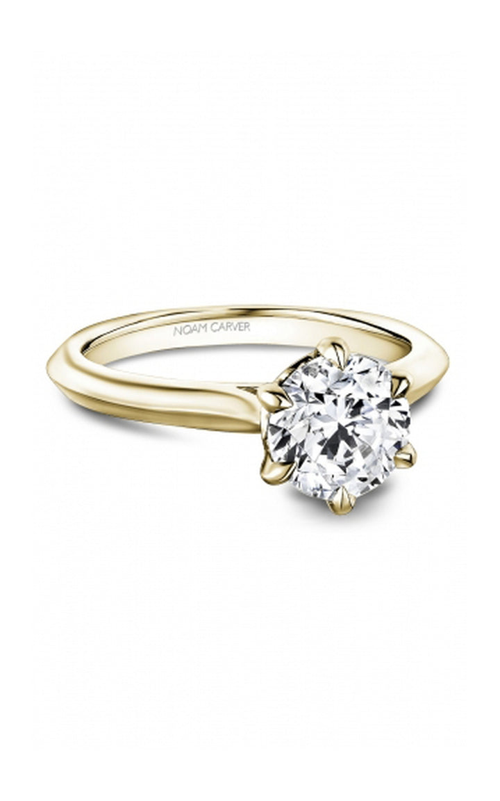 Noam Carver Bridal Engagement Ring R065-01YA