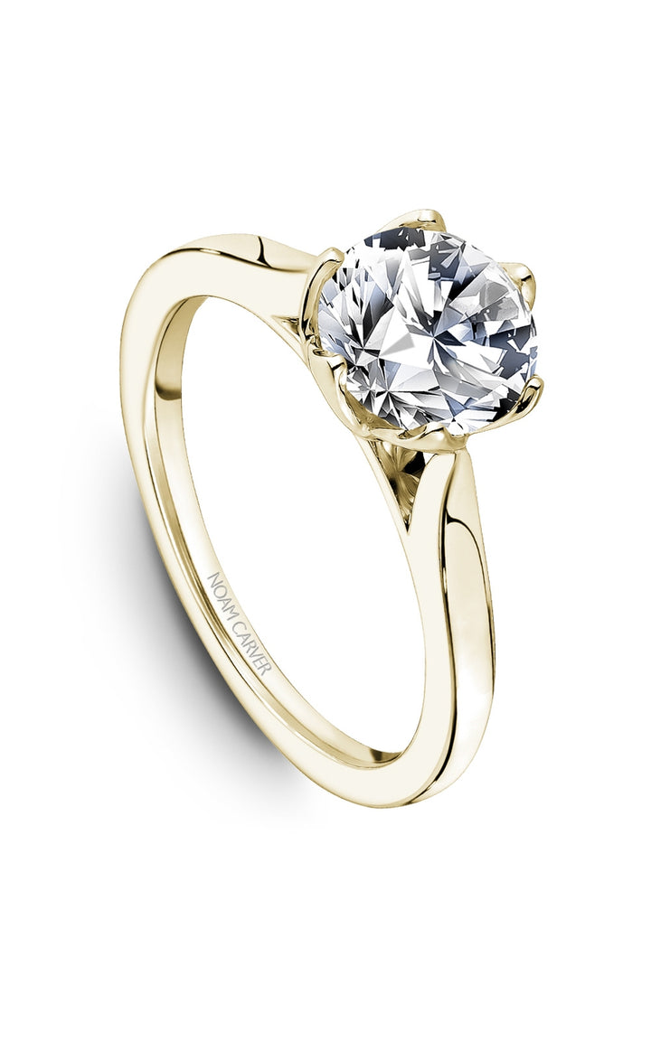 Noam Carver Bridal Engagement Ring R078-01YA