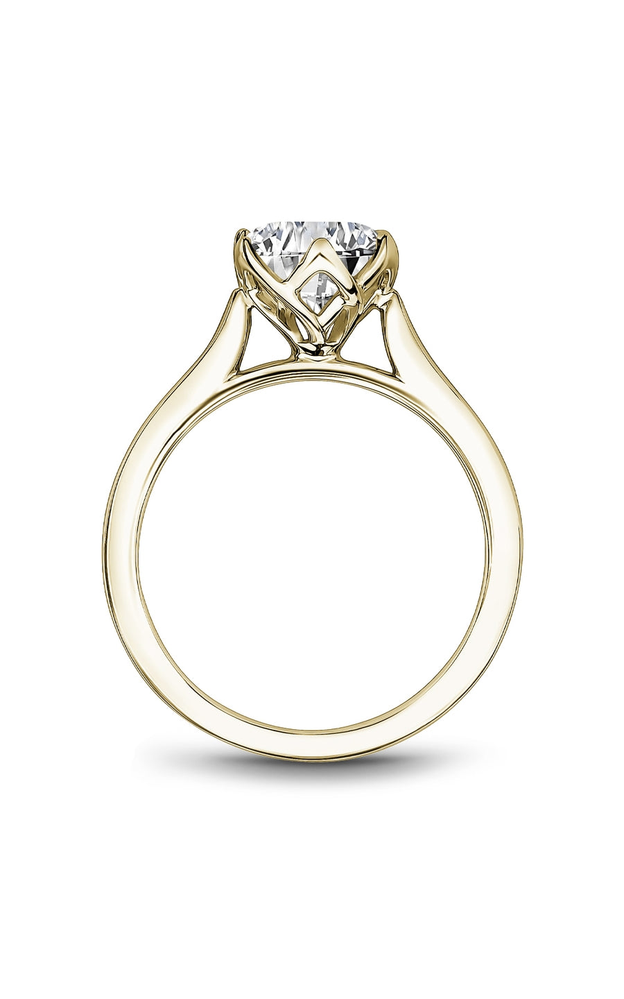 Noam Carver Bridal Engagement Ring R078-01YA