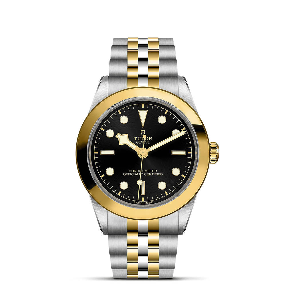 TUDOR Black Bay 39 S&G 39 mm M79663-0001 at Golden Tree Jewellers, an Official Tudor Retailer