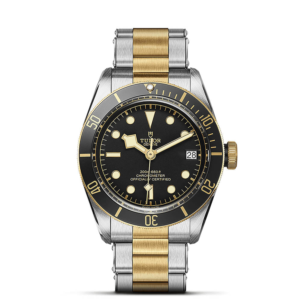 TUDOR Black Bay S&G 41 mm M79733N-0008 at Golden Tree Jewellers, an Official Tudor Retailer