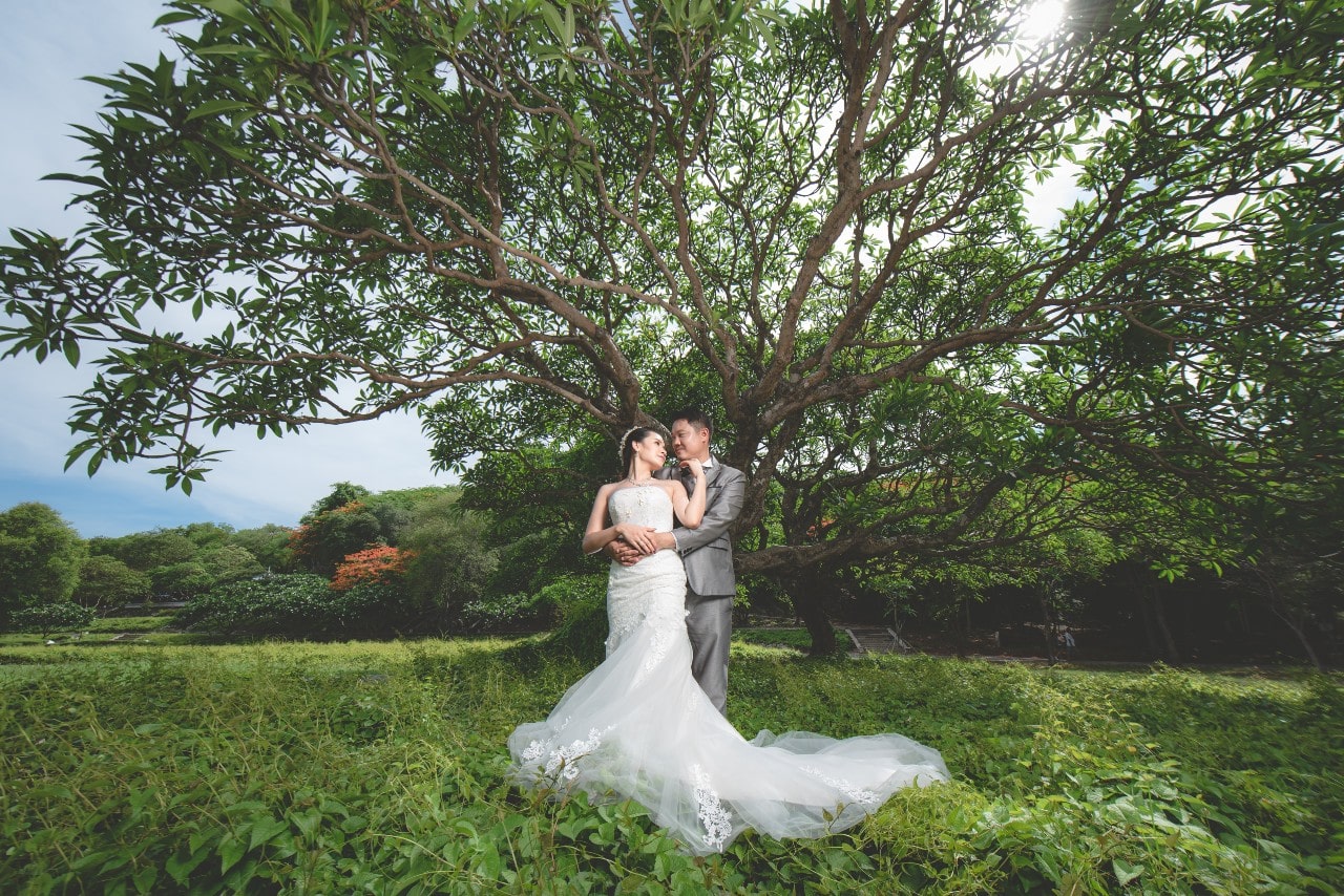 A newly married couple embrace outside under an oak tree