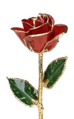 24KT GOLD DIPPED RED ROSE - CGR1-B